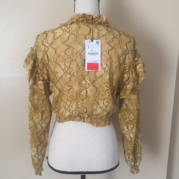 Zara yellow lace top. Small - Picture 4 of 5